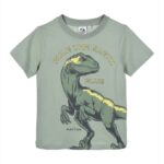 Short sleeve t-shirt