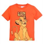 Short sleeve t-shirt