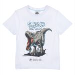 Short sleeve t-shirt