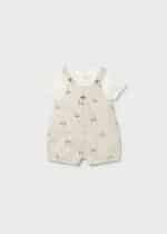 Overall - Image 2