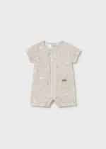 Overall - Image 2