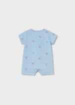 Overall - Image 2