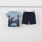 Shorts set