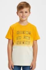 Short sleeve t-shirt