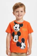 Short sleeve t-shirt