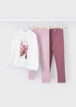 Long sleeve t-shirt with 2 leggings set